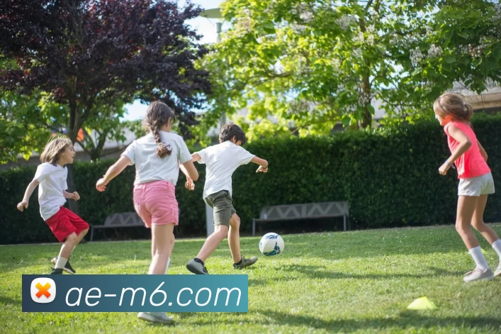 M6体育注册平台生态图