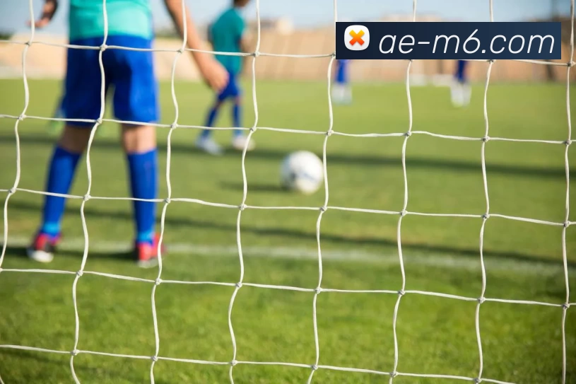 M6体育注册APP 封面图